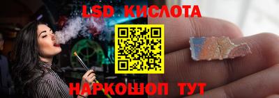 ГАЛЛЮЦИНОГЕННЫЕ ГРИБЫ Камышлов